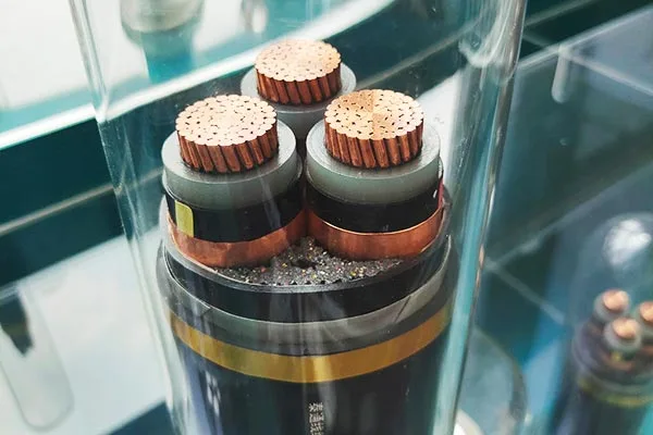 Hỗ trợ dịch vụ toàn diện